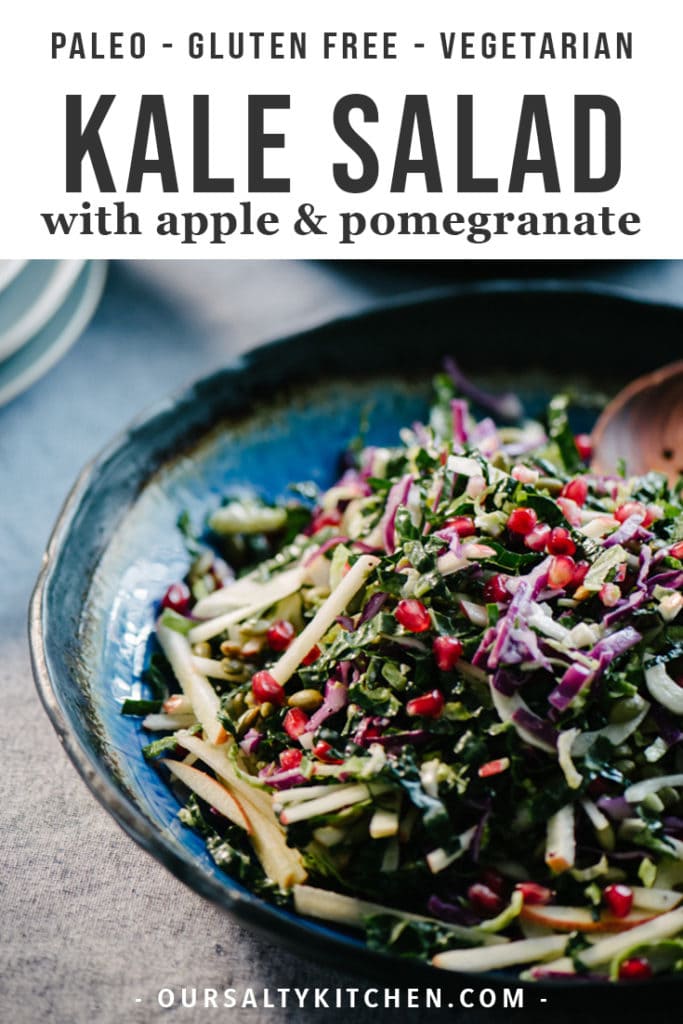 This kale pomegranate salad with brussels sprouts, fennel, apple is a bright, healthy and nutritious salad recipe! It's sweet, crunchy, and full of gorgeous color. Ready in just about 30 minutes, this is one of our go-to paleo side dish or salad recipes for cool weather. Options for paleo, Whole30 and vegan vinaigrette make this a super flexible winter salad recipe.