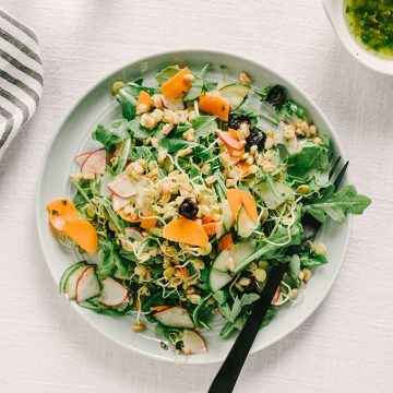 This sprouted lentil salad with farro and raw vegetables is an easy, fast and surprisingly filling vegetarian weeknight dinner.
