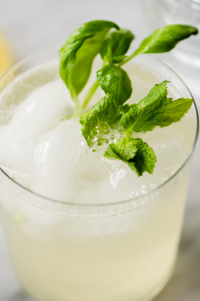 Sparking mint and basil lemonade in a glass with sprigs of fresh herbs for garnish.