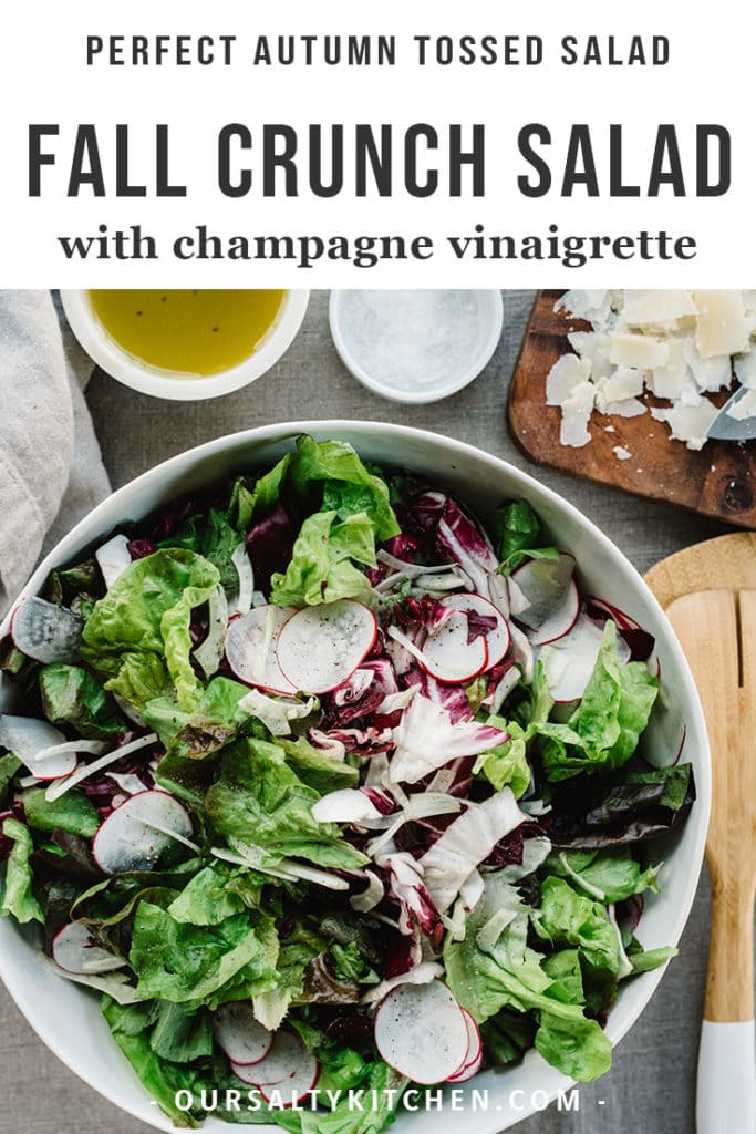 A tossed green salad of butter lettuce, radicchio, fennel, and radishes in a large white bowl with parmesan cheese and champagne vinaigrette on the side.