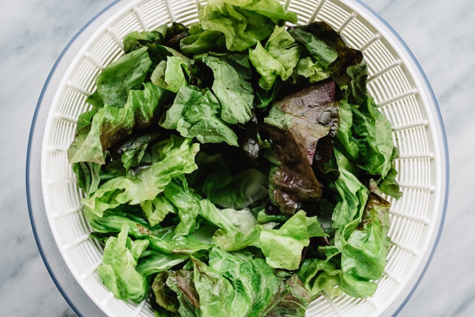 Chopped butter lettuce in a salad spinner.