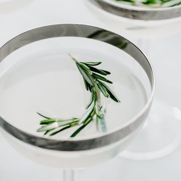 Three coupe glasses with silver rims filled with a straight up rosemary vodka gimlet garnished with rosemary sprigs.