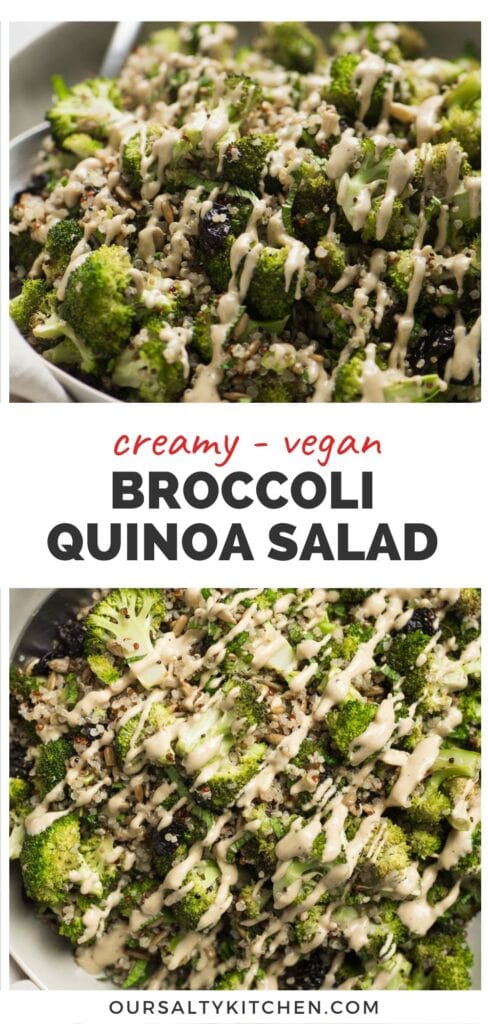 Top and bottom images - a side view (top) and overhead view (bottom) of broccoli quinoa salad in a bowl, made with roasted broccoli, quinoa, sunflower seeds, dried cherries, mint, and creamy sunflower seed dressing; title bar in the middle reads "creamy - vegan - broccoli quinoa salad".