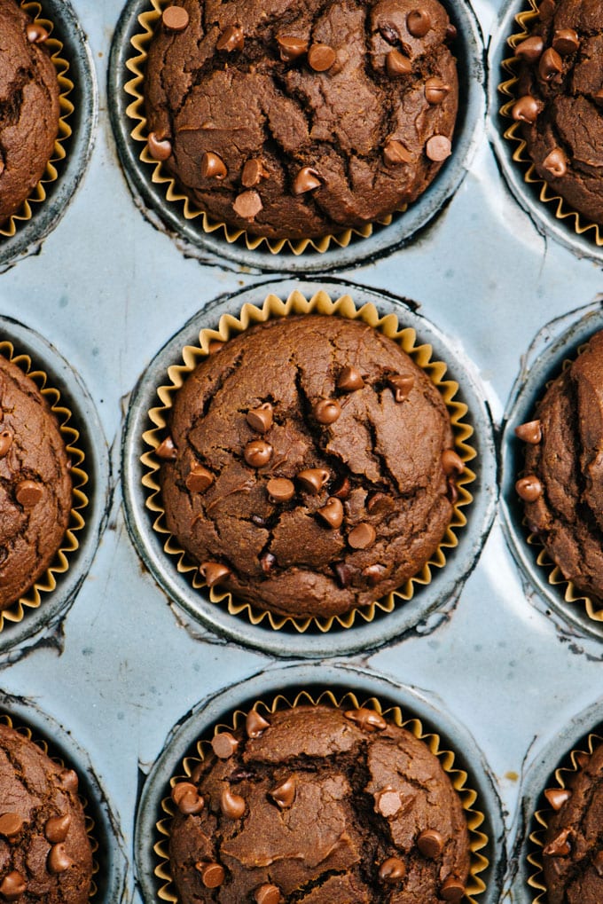From overhead, chocolate pumpkin muffins fresh from the oven in a muffin tin.