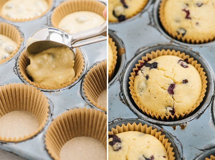 Pouring batter into a lined muffin tin using an ice cream scooper; side view, blueberry cornbread muffins in a tin fresh from the oven.