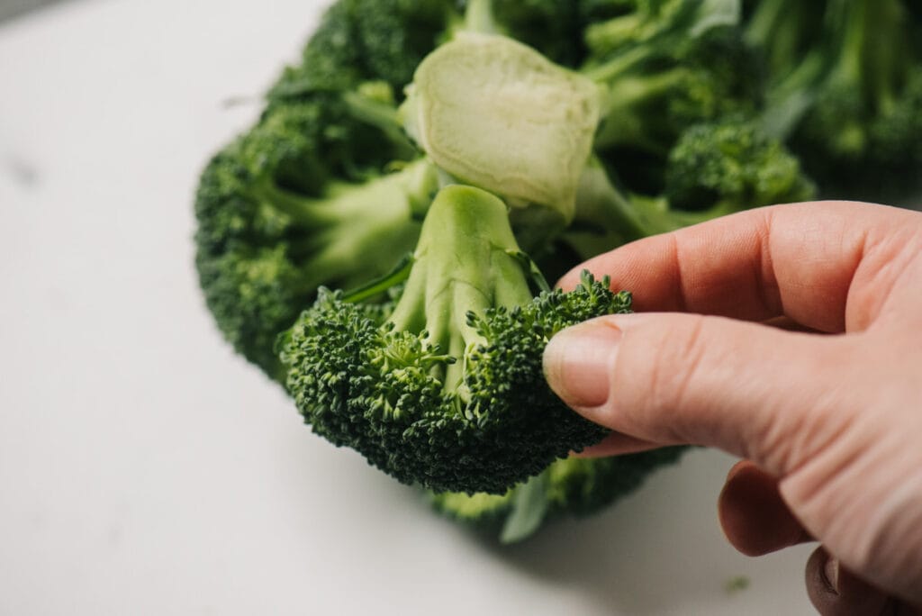 A woman's hand holding a broccoli floret trimmed away from the stalk.