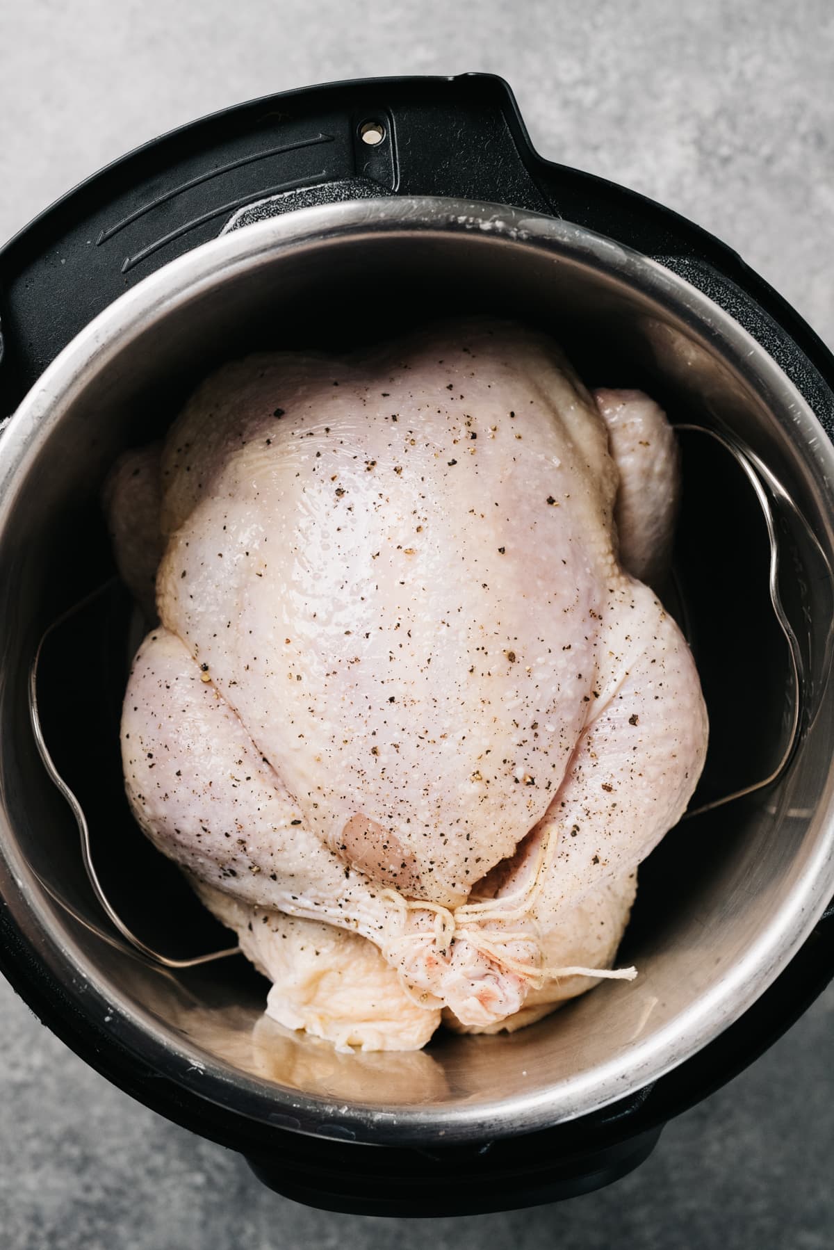 A whole chicken trussed with twine on a trivet in an instant pot.