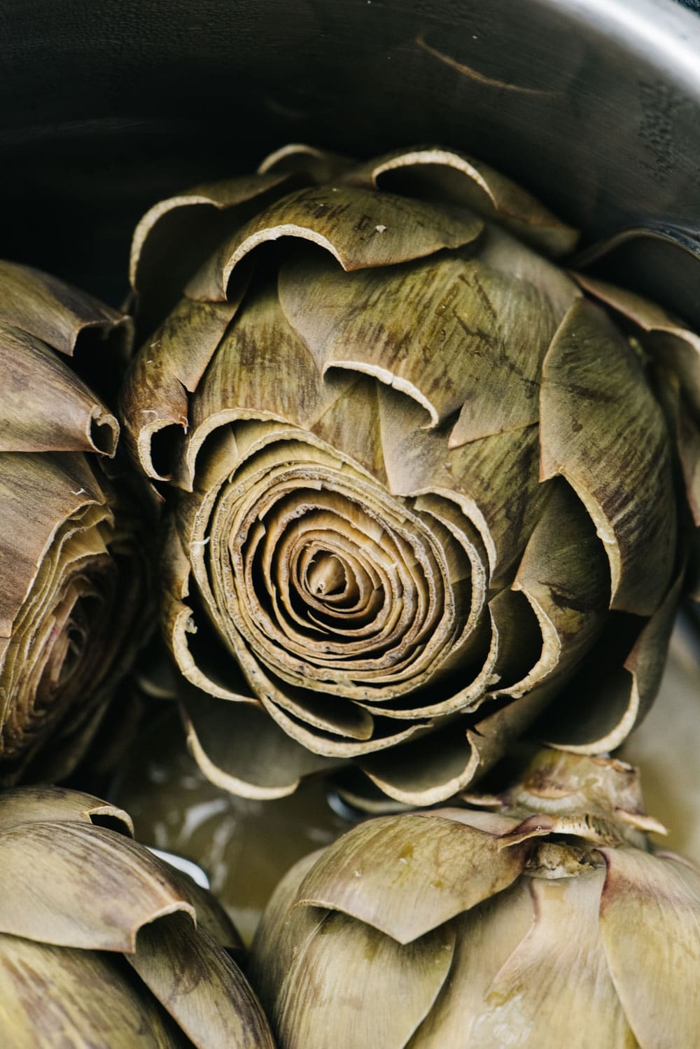 Side view, steamed instant pot artichokes in the inner pot of a pressure cooker.