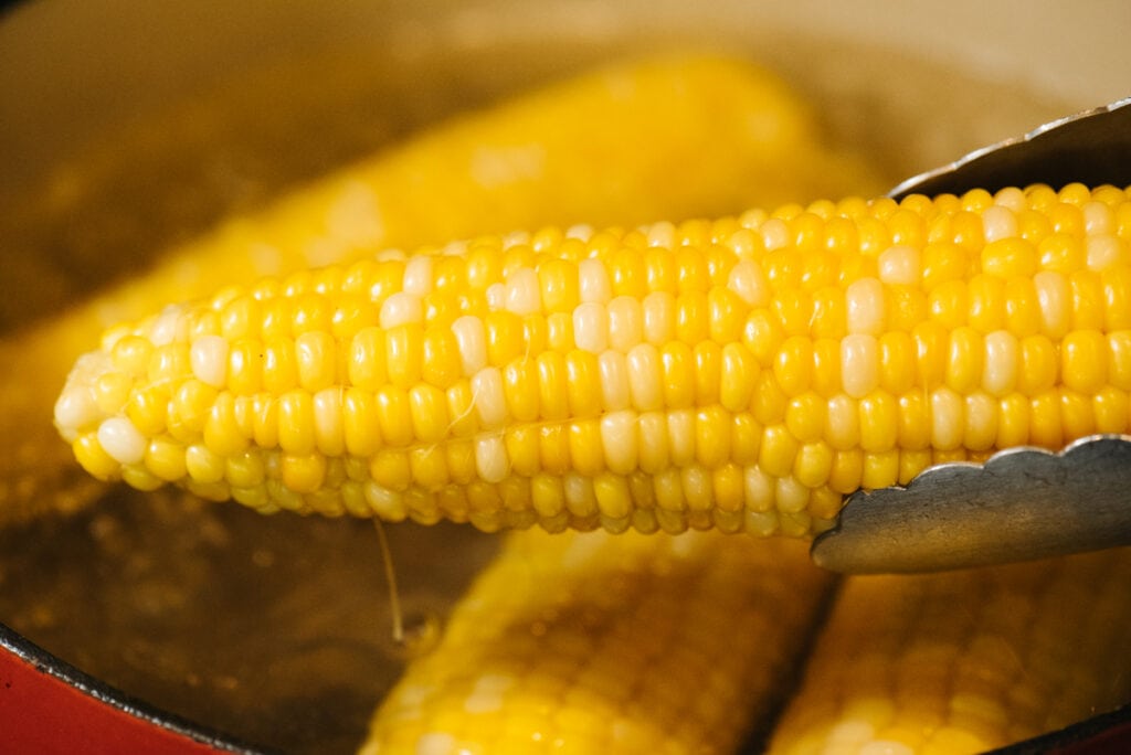 Removing an ear of cooked corn from a pot of boiling water.