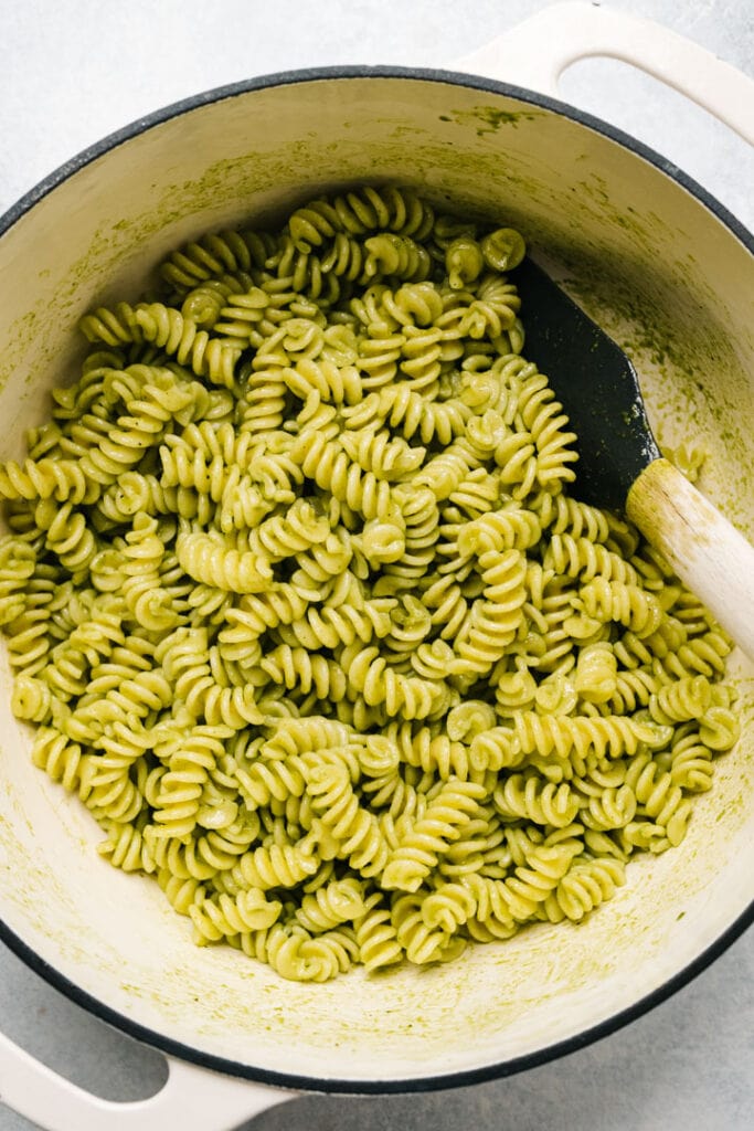 Cooked rotini noodles for caprese pasta salad with basil dressing. 