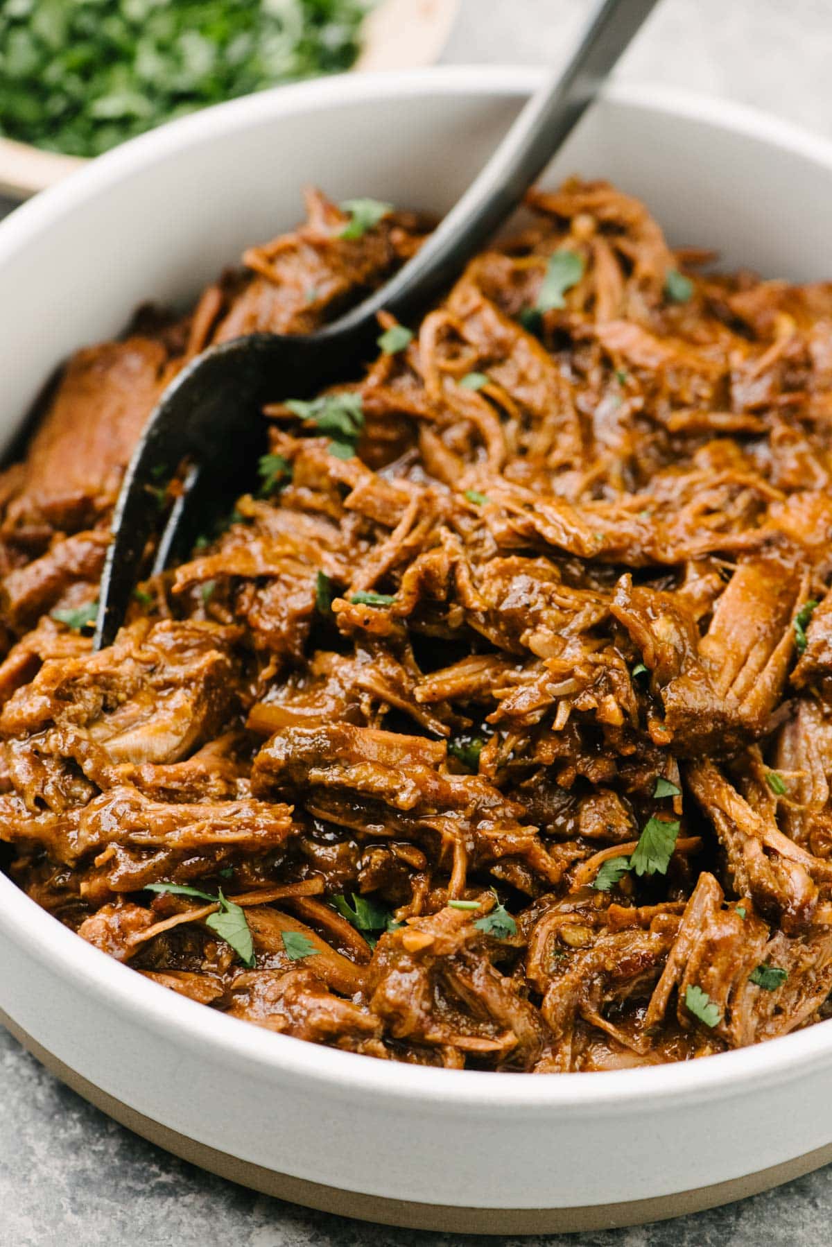 Side view, a fork tucked into a bowl of Mexican shredded beef.