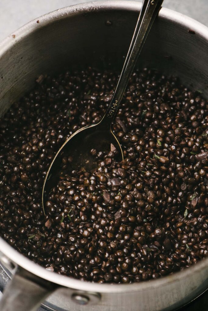 Side view, a spoon tucked into drained and cooked black lentils in a saucepan.